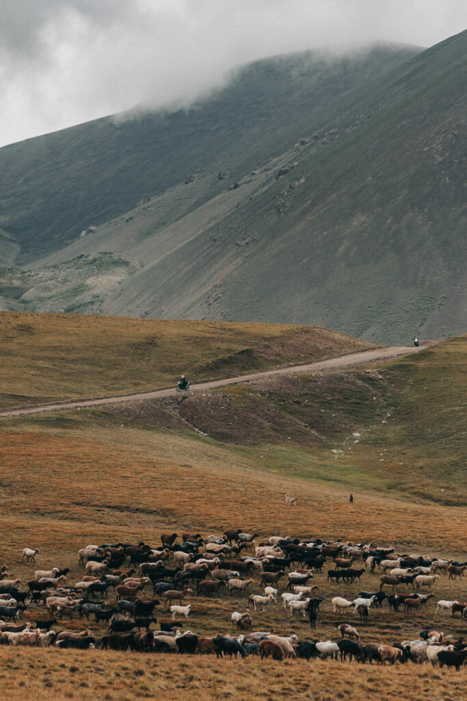 059a051311ridersjakebaggaley