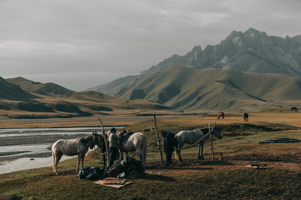 059a395211ridersjakebaggaley