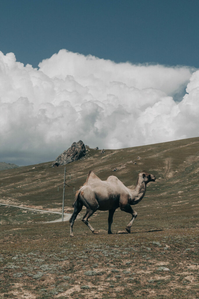 059a480111ridersjakebaggaley